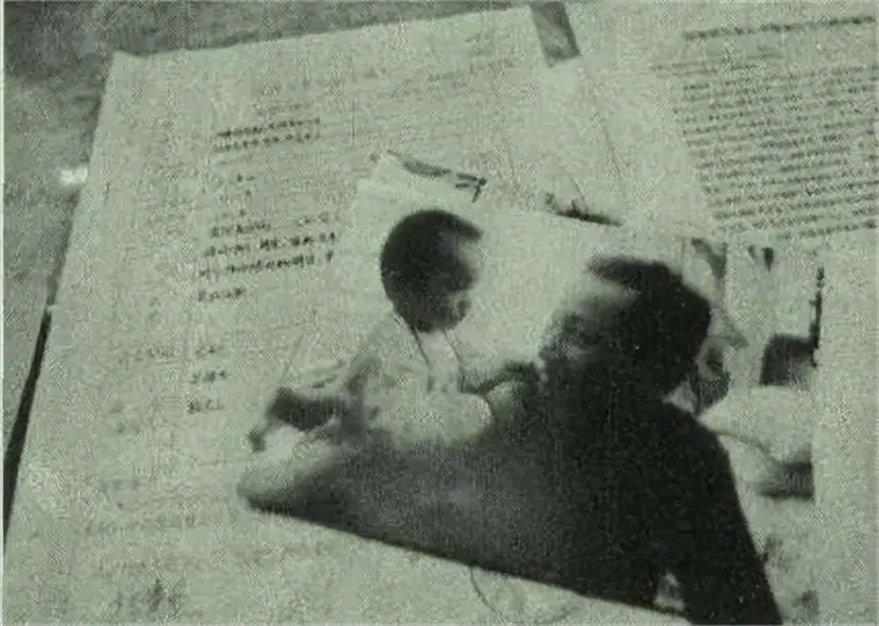 槟榔大王真实身份,湖南槟榔大王是谁