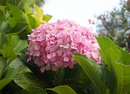 春节过后准备去广州打工,去广州打工回家过年