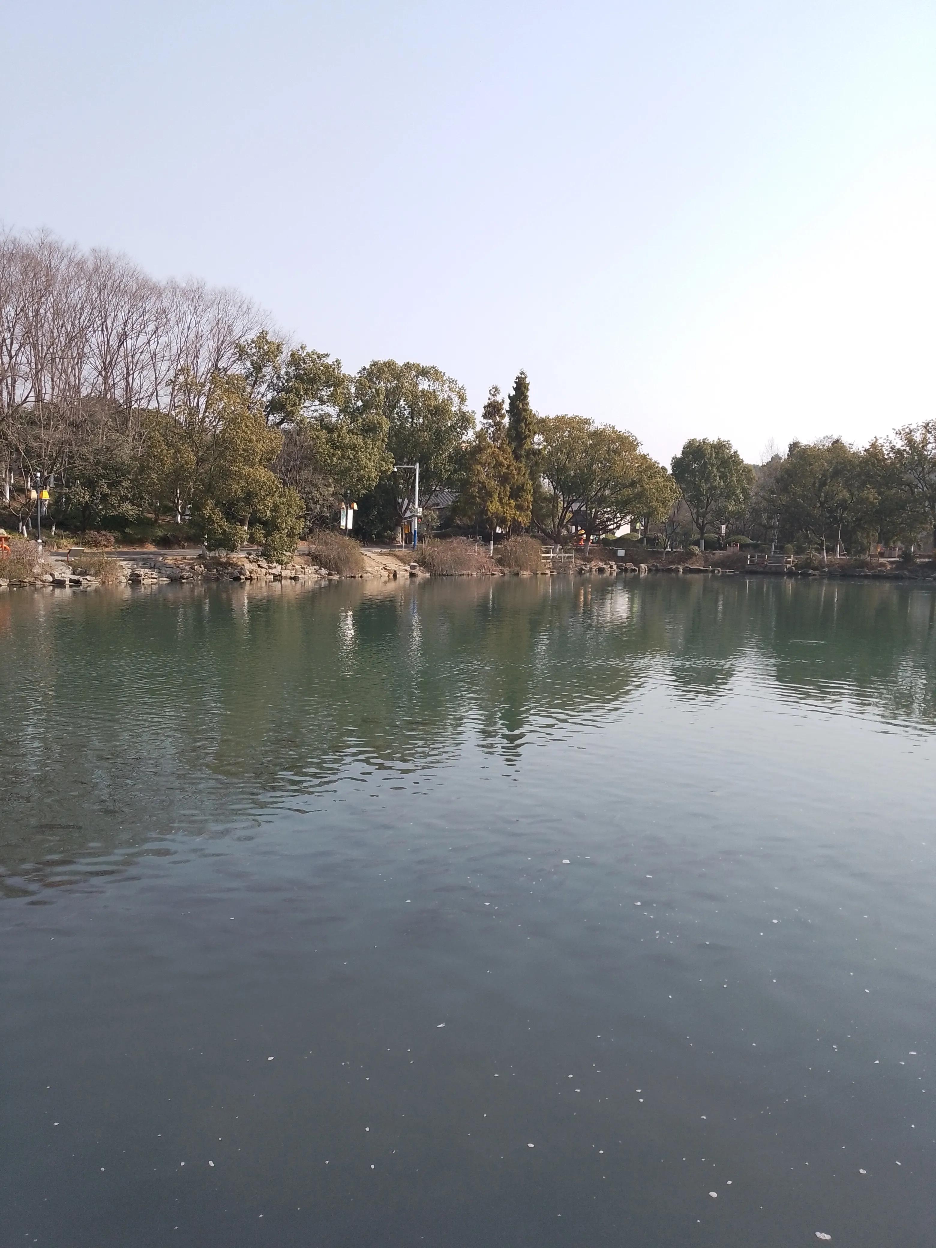 2022年滁州碧桂园欧洲城现状,滁州碧桂园欧洲城未来有地铁吗