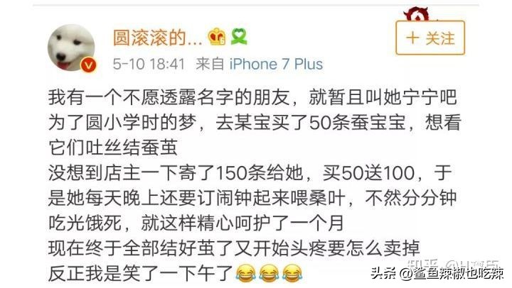 今天你看了吗,治好脚气以前的袜子还能穿吗