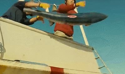 姚明公益广告拒绝吃鱼翅,姚明吃鱼翅原视频