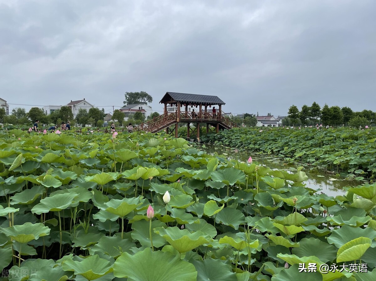 高中英语读写教学中基于图式理论的设问研究