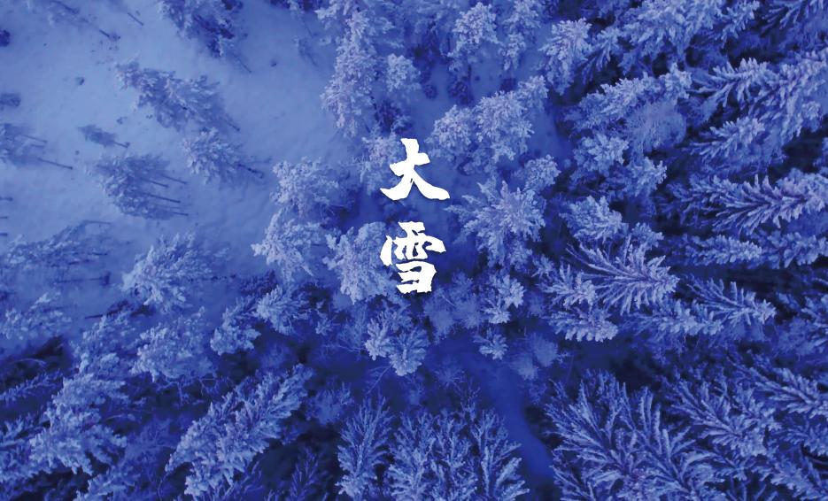 诗词大雪七绝,描写大雪节气来临的诗句