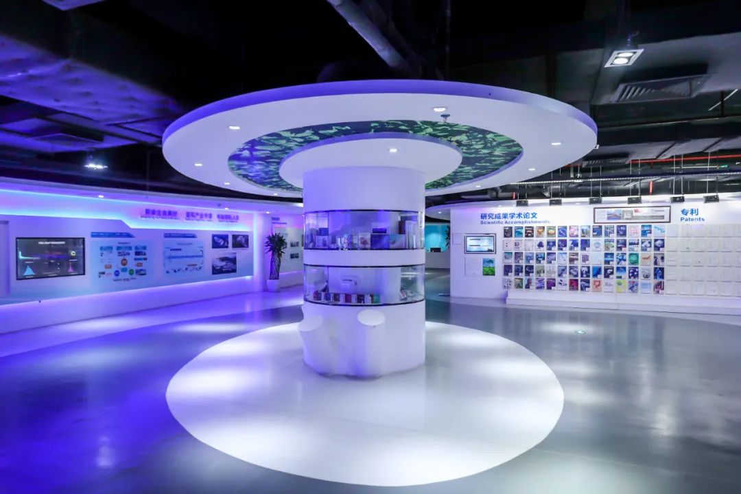 只有山海藏深意,唯有山海是什么意思