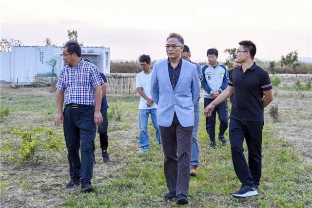 威海蓝碳示范,威海兰炭交易