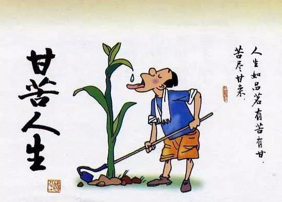 从服务员一路逆袭,锦鲤杨超越的拼命之路