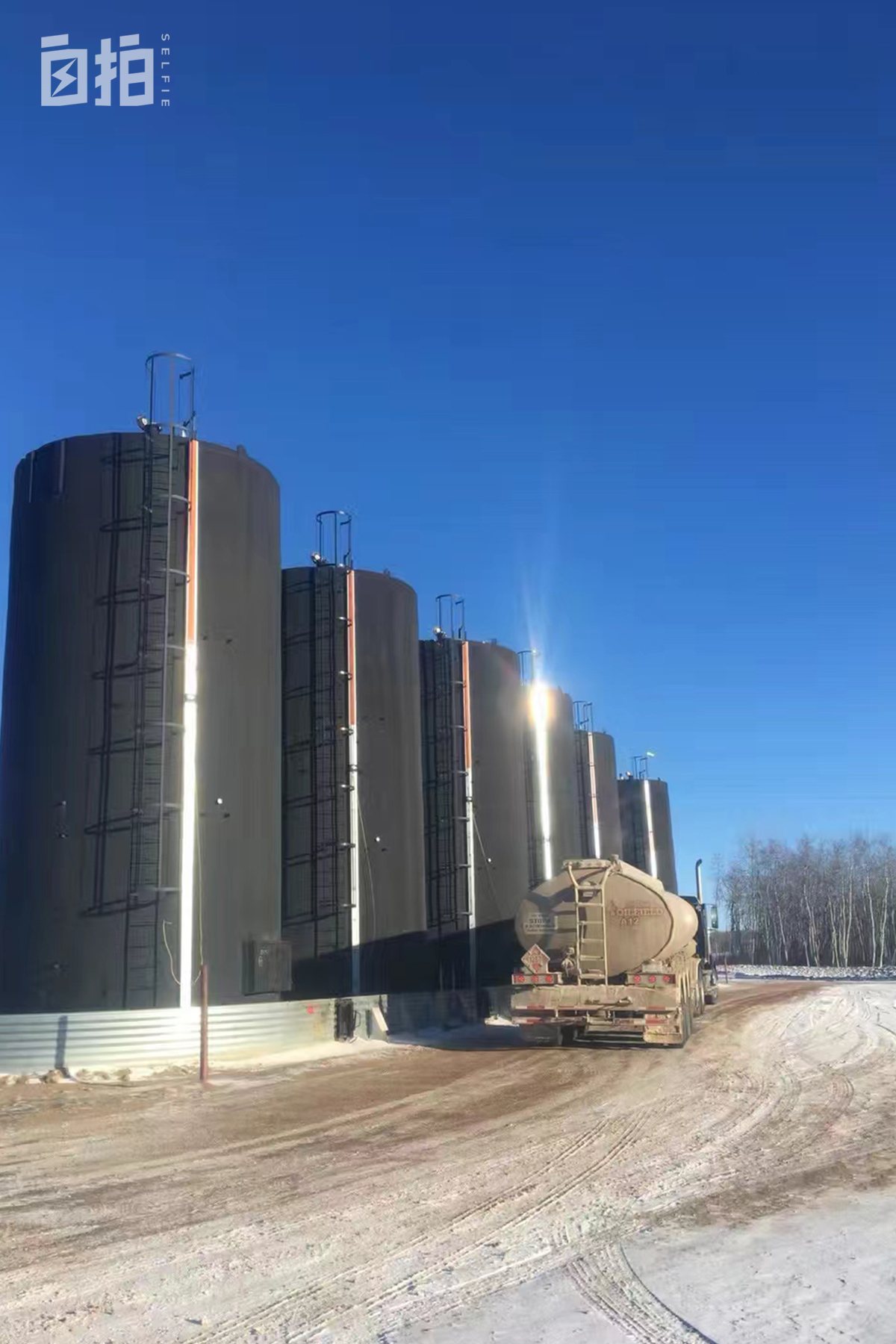 我,高考英语30分,靠杀猪带全家定居国外,转行开卡车,年薪百万