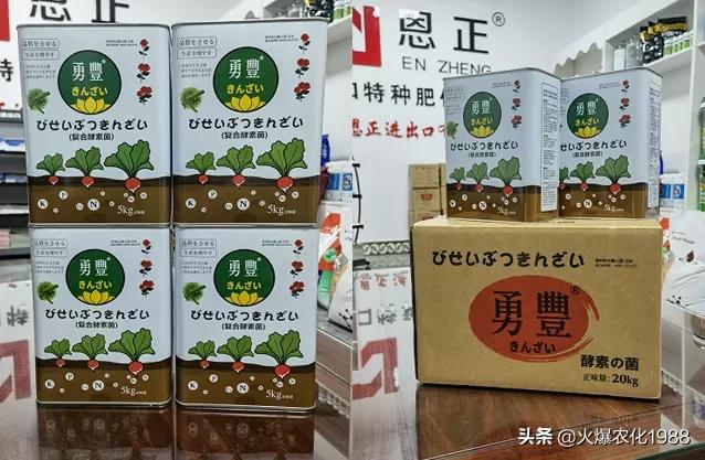 意大利、荷兰、比利时原装进口，交500顶2000；支持货到付款
