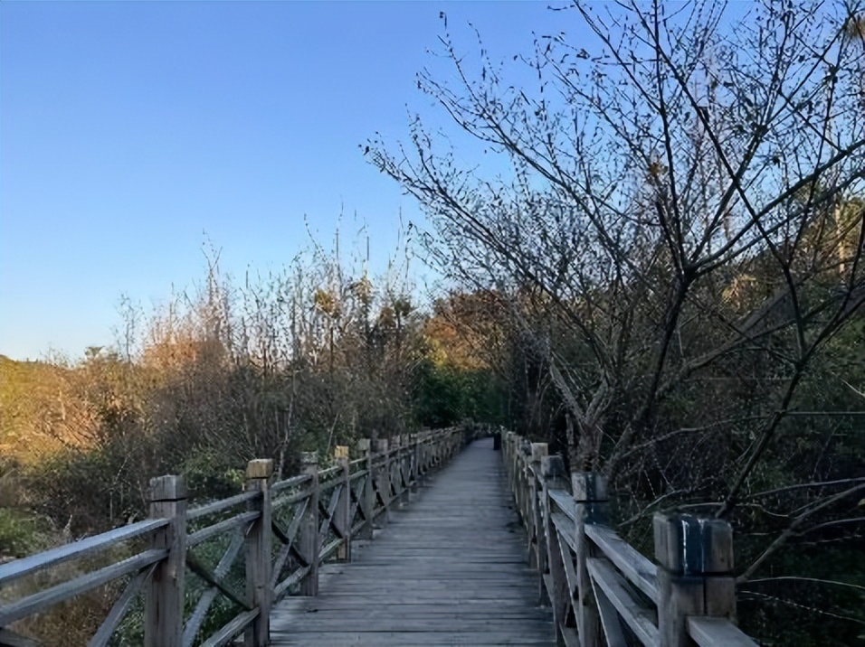 黄果树风景区一日游旅游攻略,黄果树旅游景区游览攻略