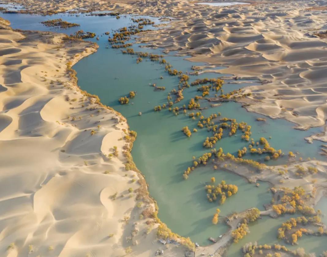 新疆库尔勒罗布湖螃蟹,南疆无人区沙漠湖泊