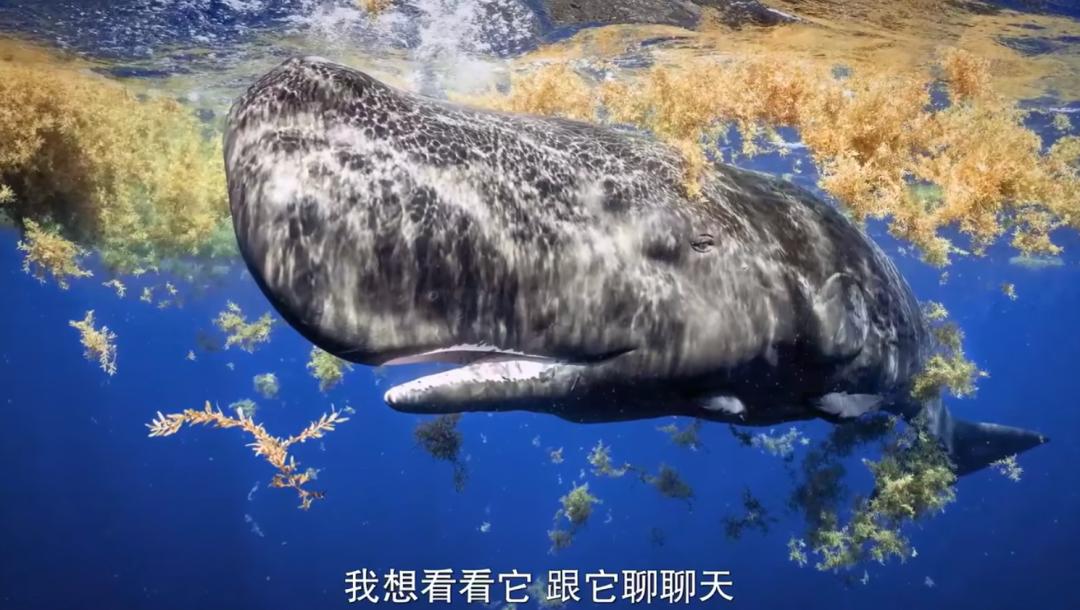 豆瓣排名第五摄人心魄的好片,豆瓣8.6分今年看过最良心的电影