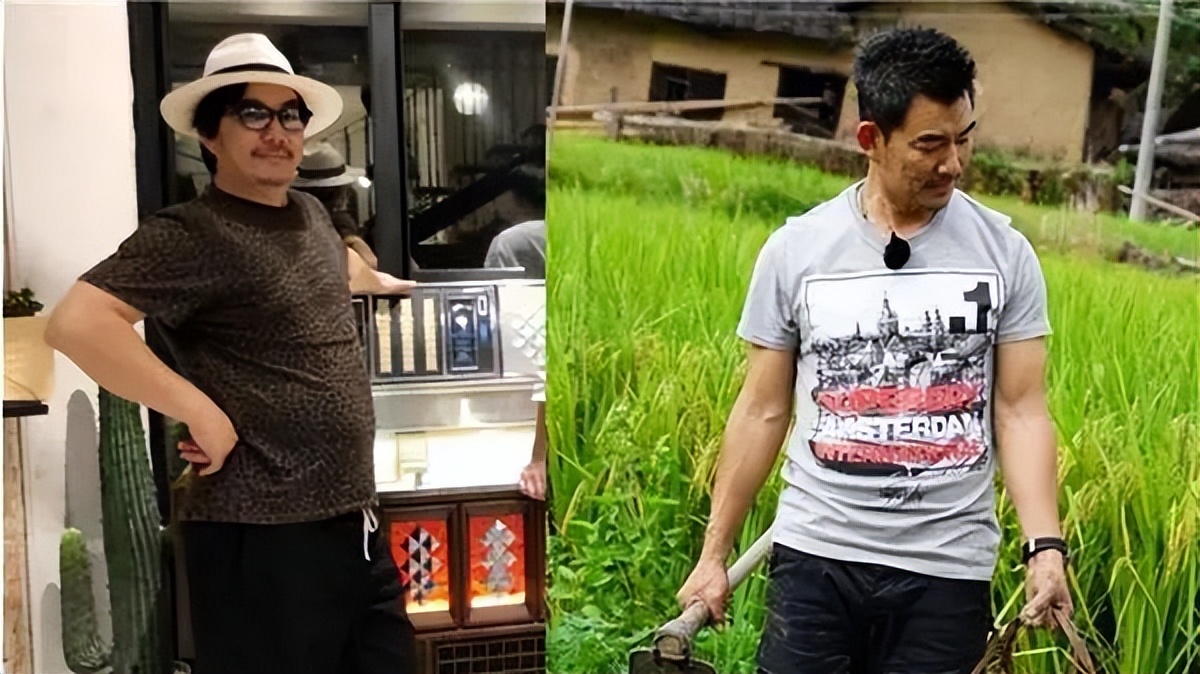 任贤齐和王心凌演过的电影,王心凌和任贤齐谁的地位高