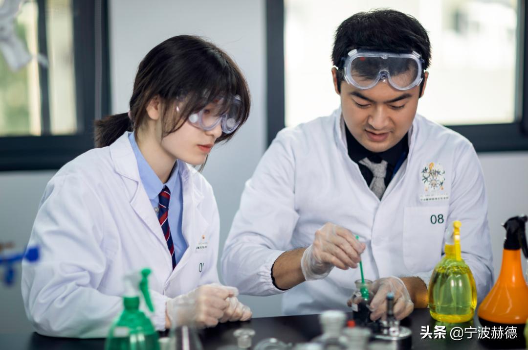 除了直升初中部，赫德6年级还有哪些特点？