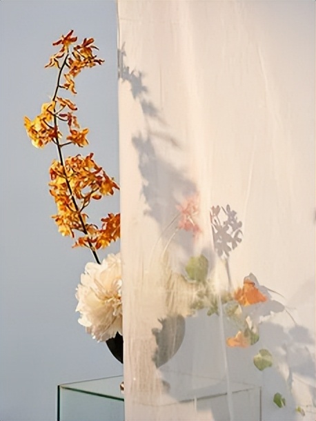 全年龄段抗老面霜,全皮面霜排行榜最新