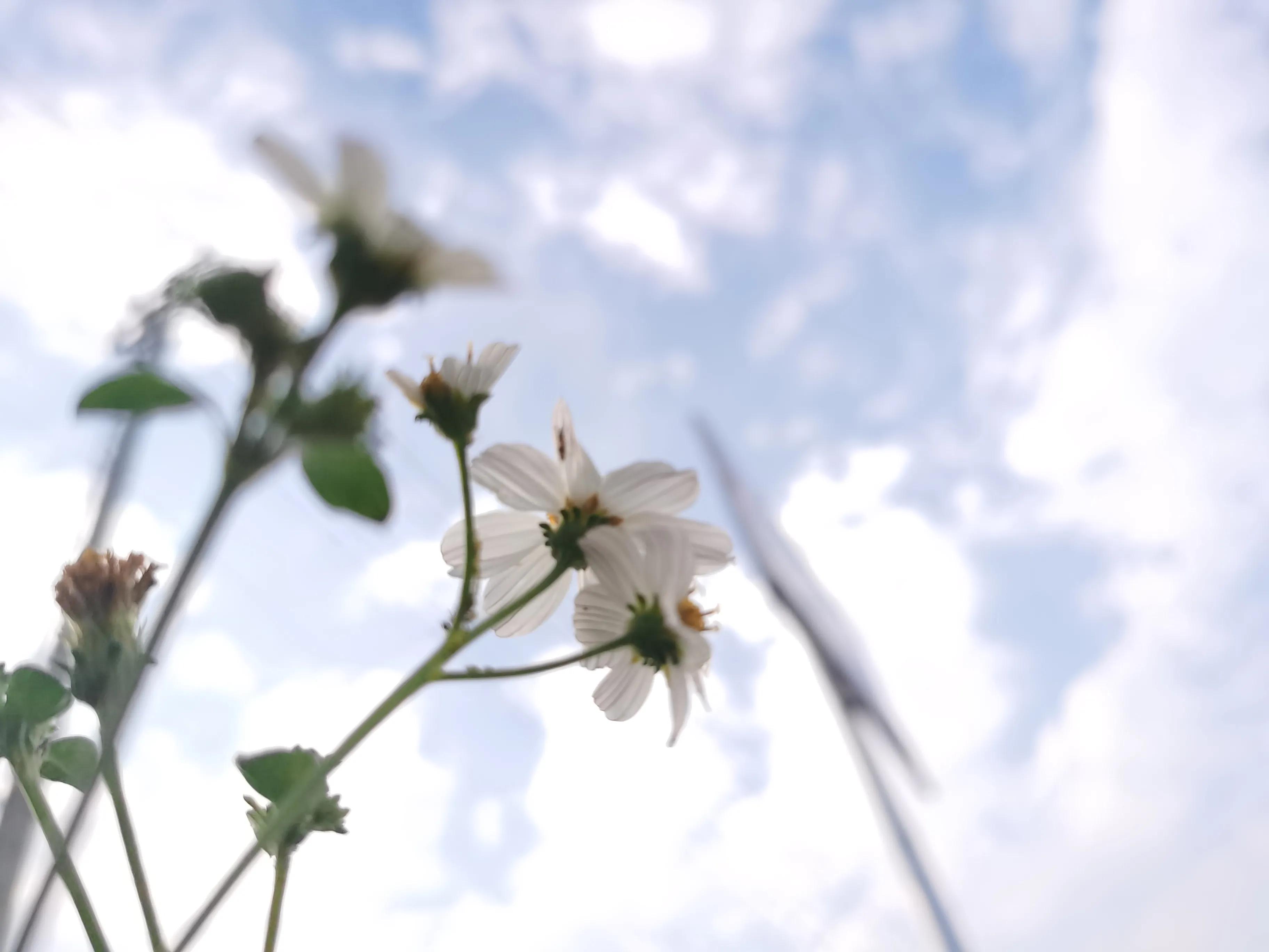 去想去的地方拍好看的照片,分享一张你去过好多地方的照片