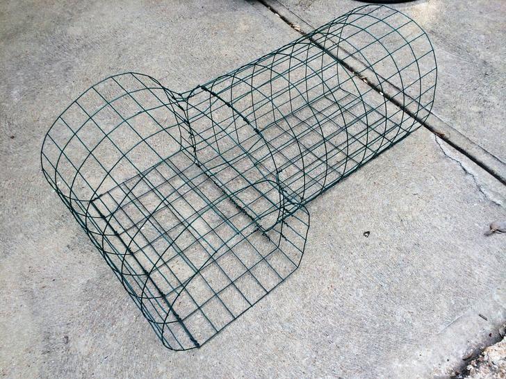 就喜欢养点花花草草,在楼顶菜园用笼子养鸡