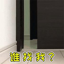 新手养猫总结的一些接地气的经验,不懂猫的建议养猫吗