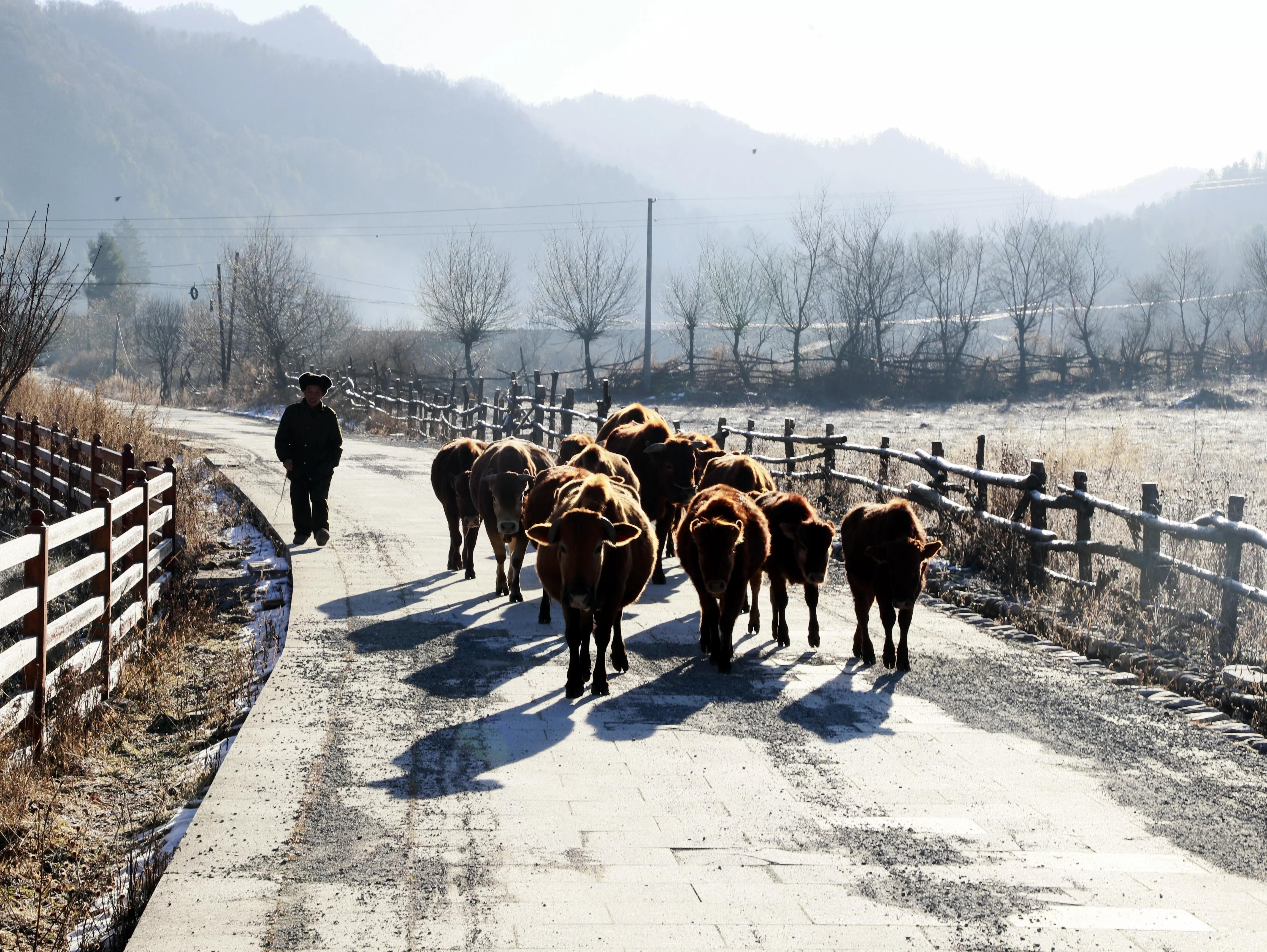 周至老县城简介,西安地理地形