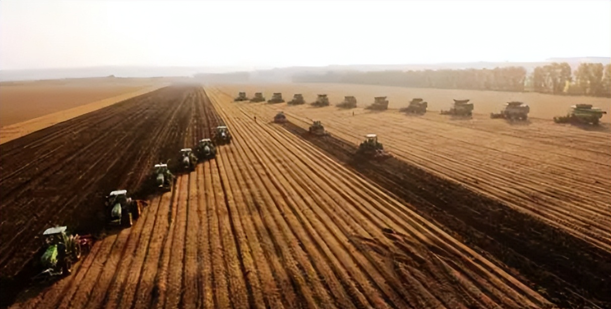 北大荒为什么退林还耕,北大荒当年咋样开垦的
