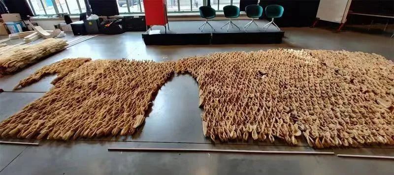 未之头条：重新认识霉菌，它除了变牛排还能盖房子