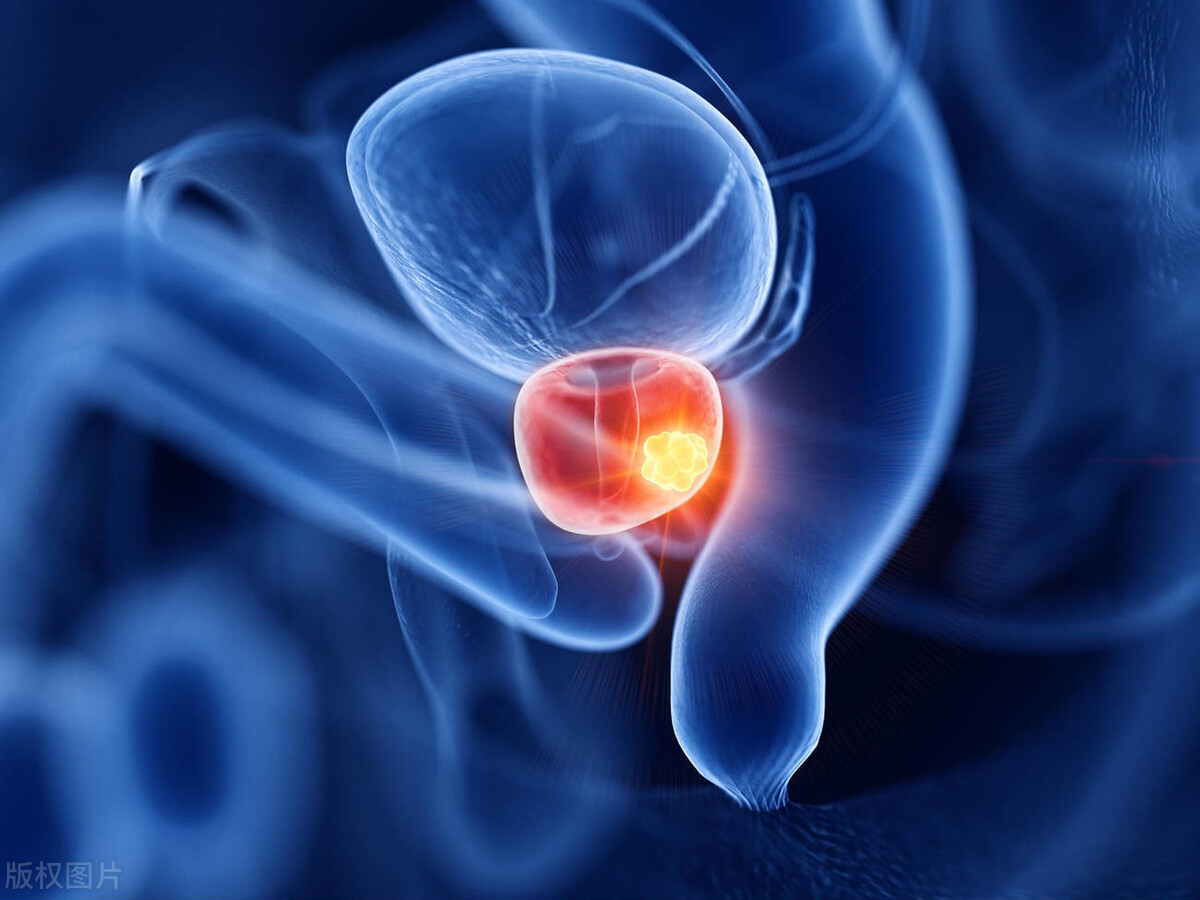 新研究发现:近30年来美国男性“丁丁”变长,背后原因却令人忧心