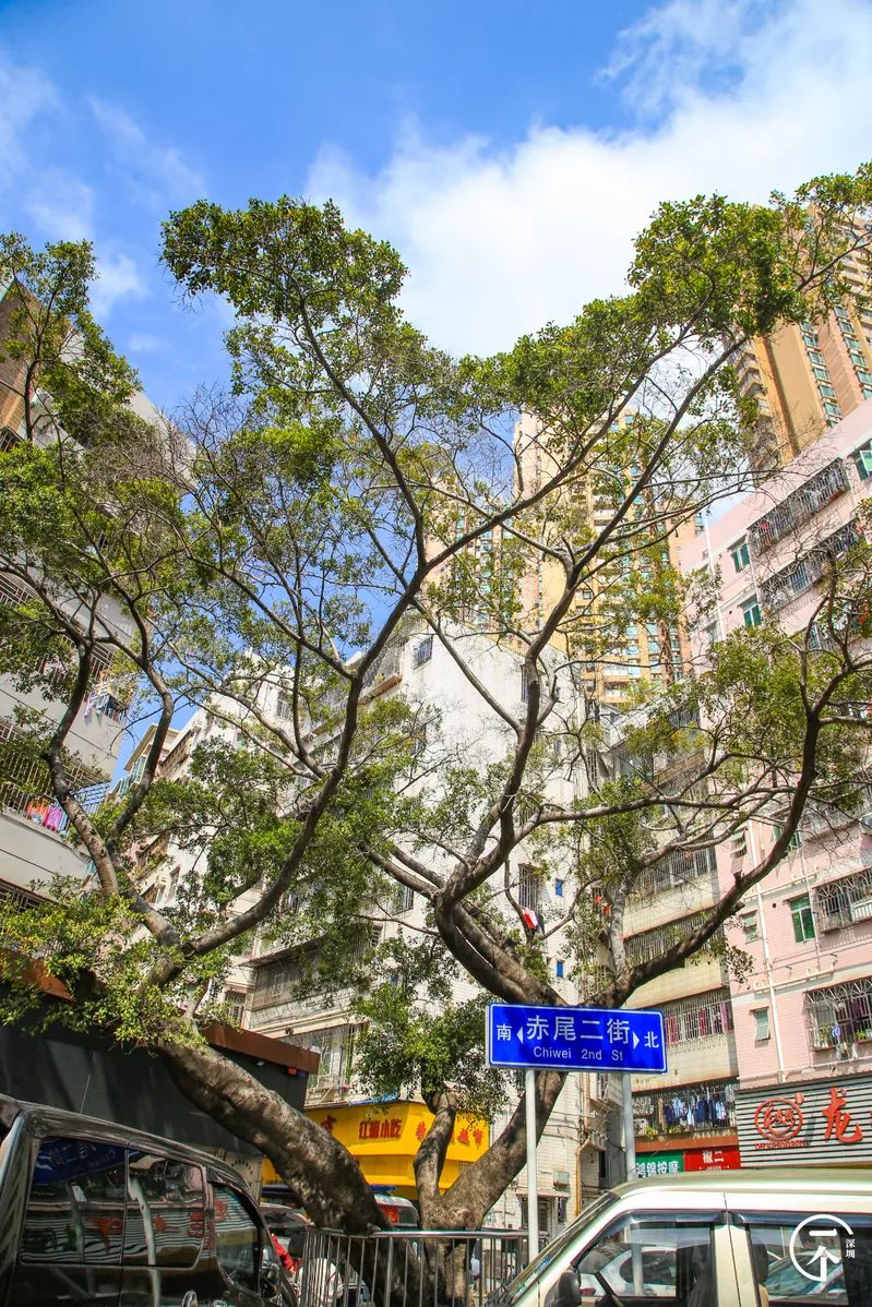 深圳有个什么富裕村,深圳有个村很出名