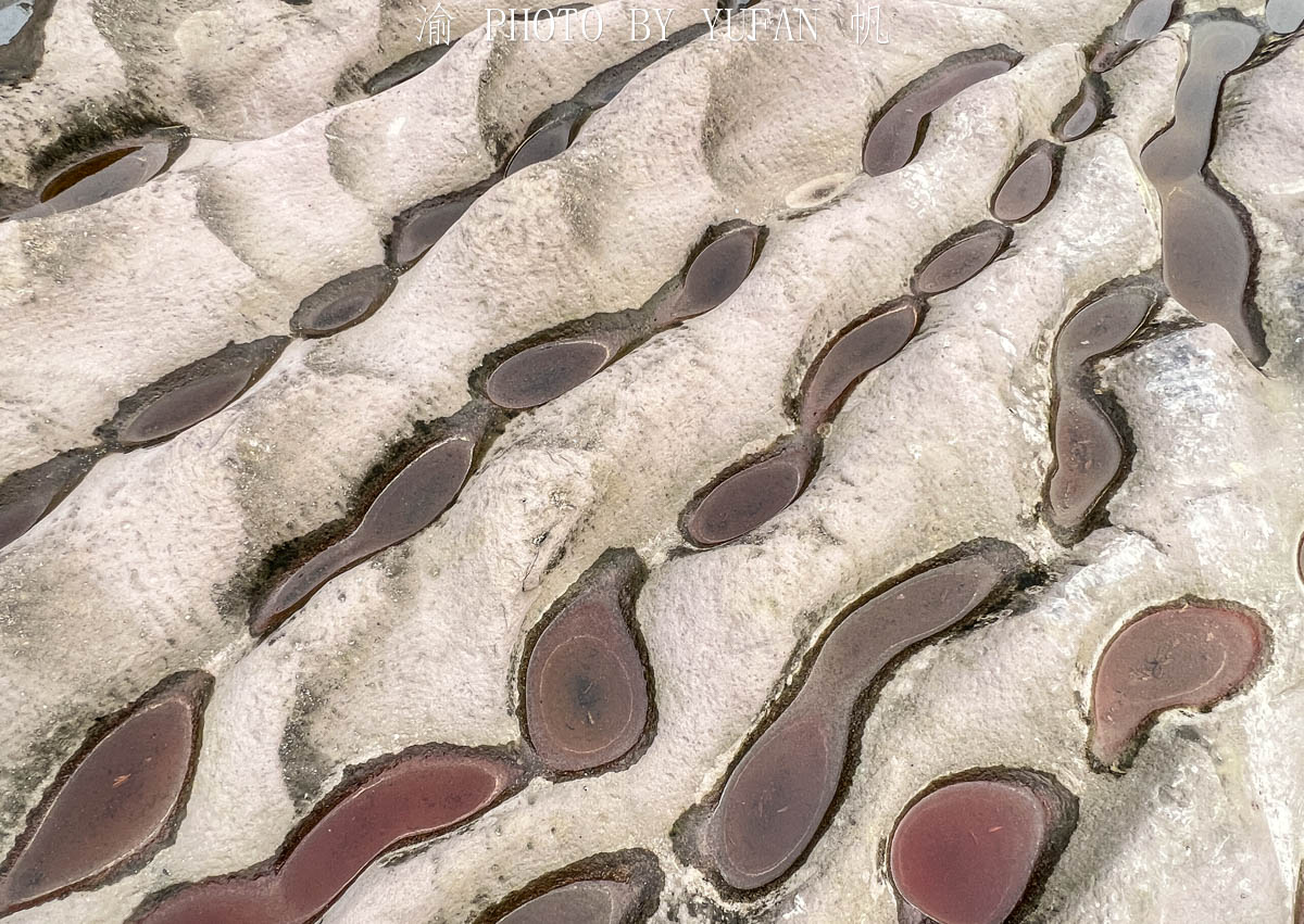 重庆潼南区的风景,重庆潼南地形