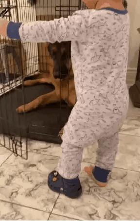 动图搞笑,搞笑动图平时笑不出来却忍不住