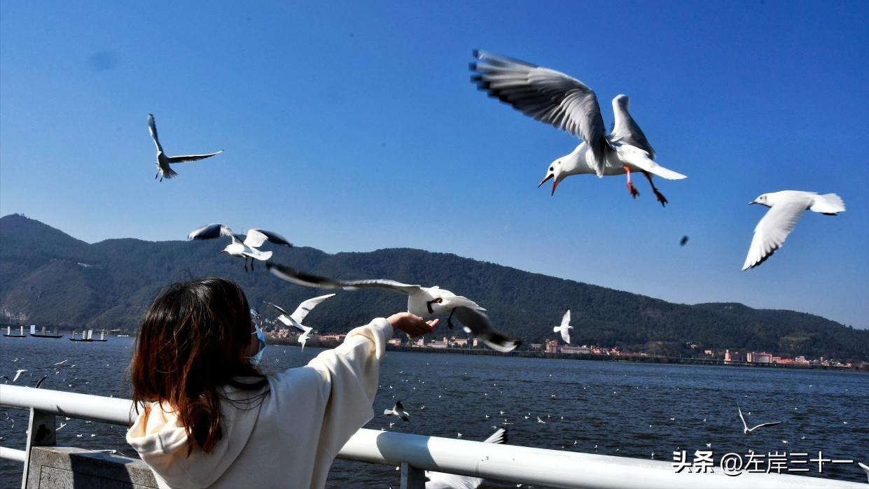 昆明不出众但是很值得去的地方,昆明是一个怎样的旅游城市