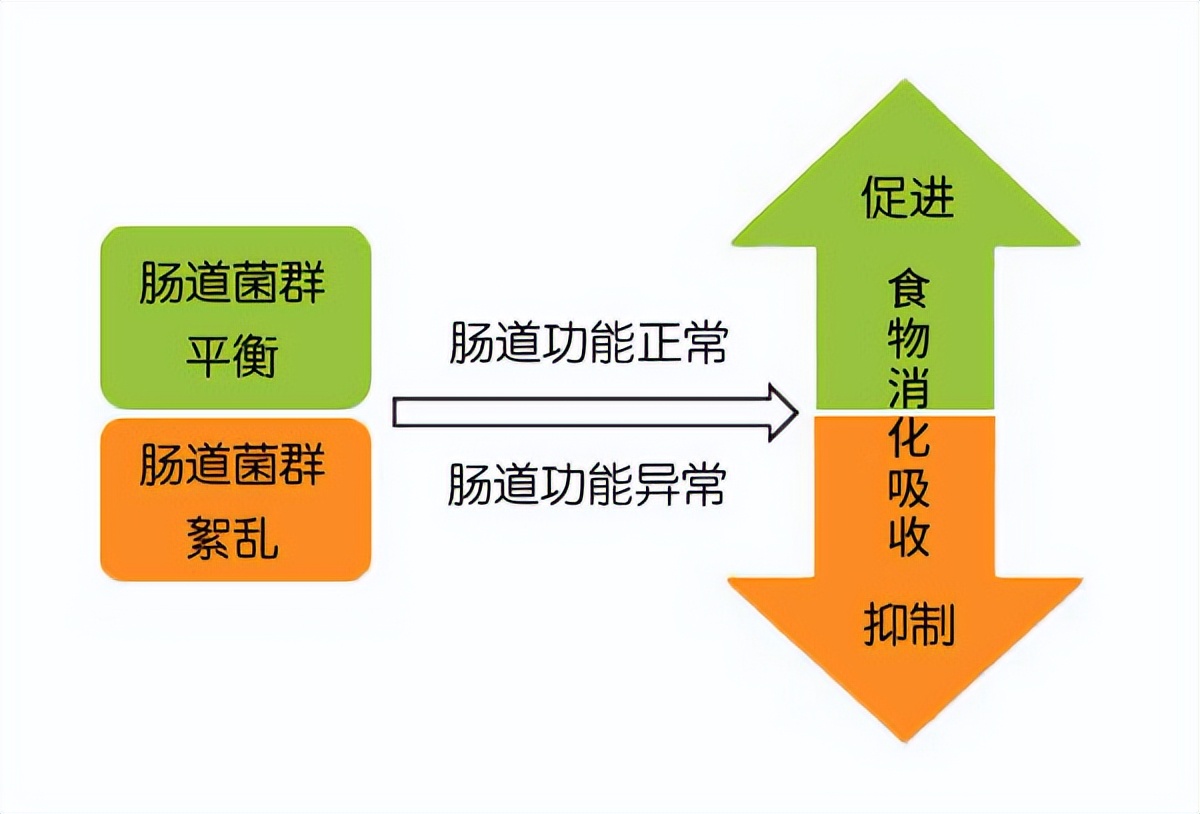 肚子胀气老放屁怎么办吃点药,肚子胀气老放屁是怎么回事