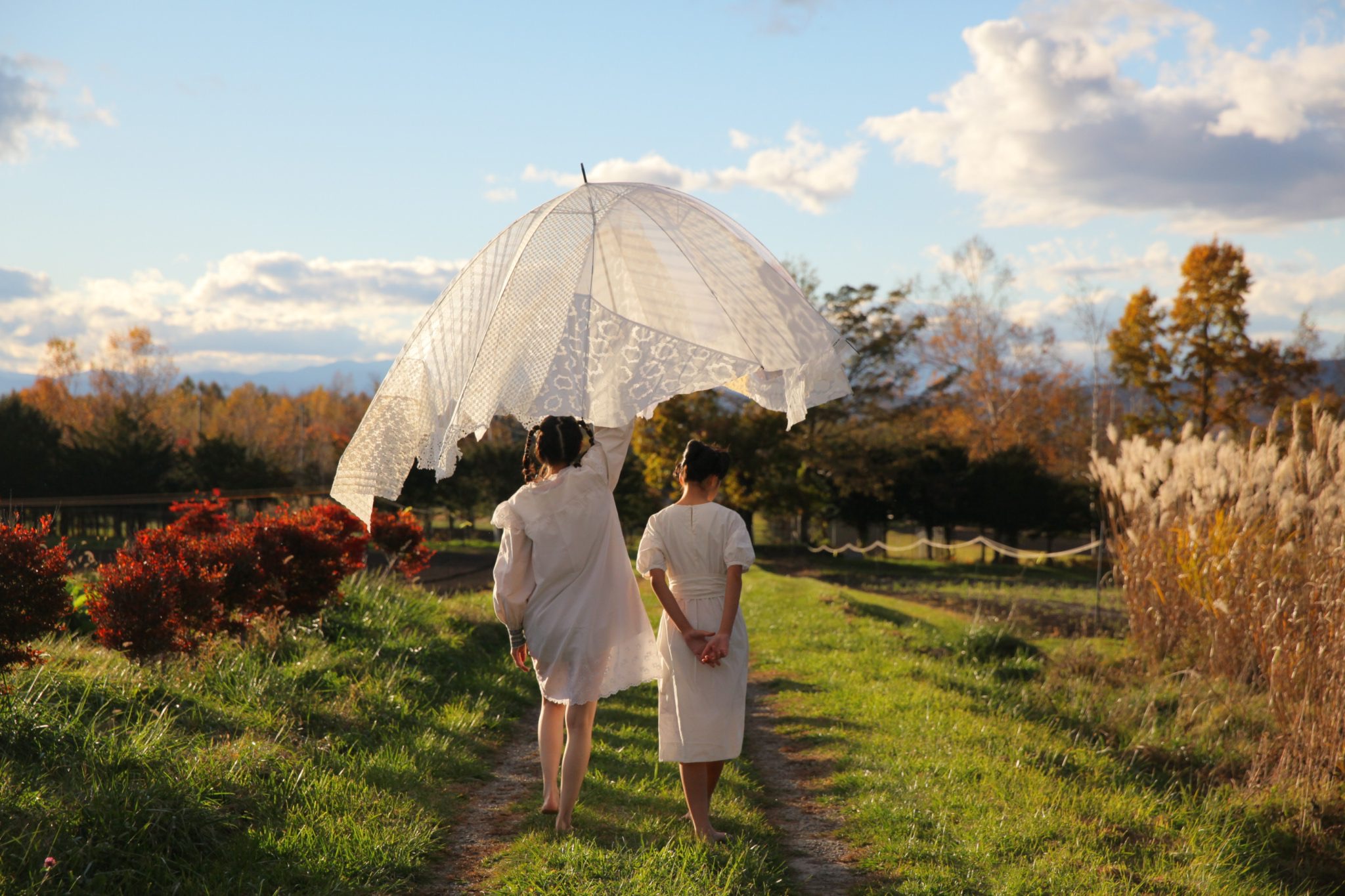 JDN日本设计网站作品太阳伞店“koshirael”把绘画融入雨伞的品牌