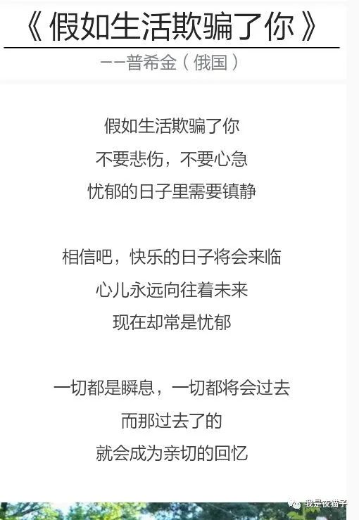 如果生活不如意我该怎么办,如果生活不如意请相信会另有安排