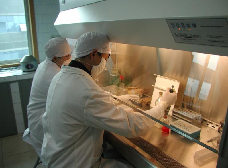 粮食中真菌的检测,粮食中真菌毒素检测的优缺点