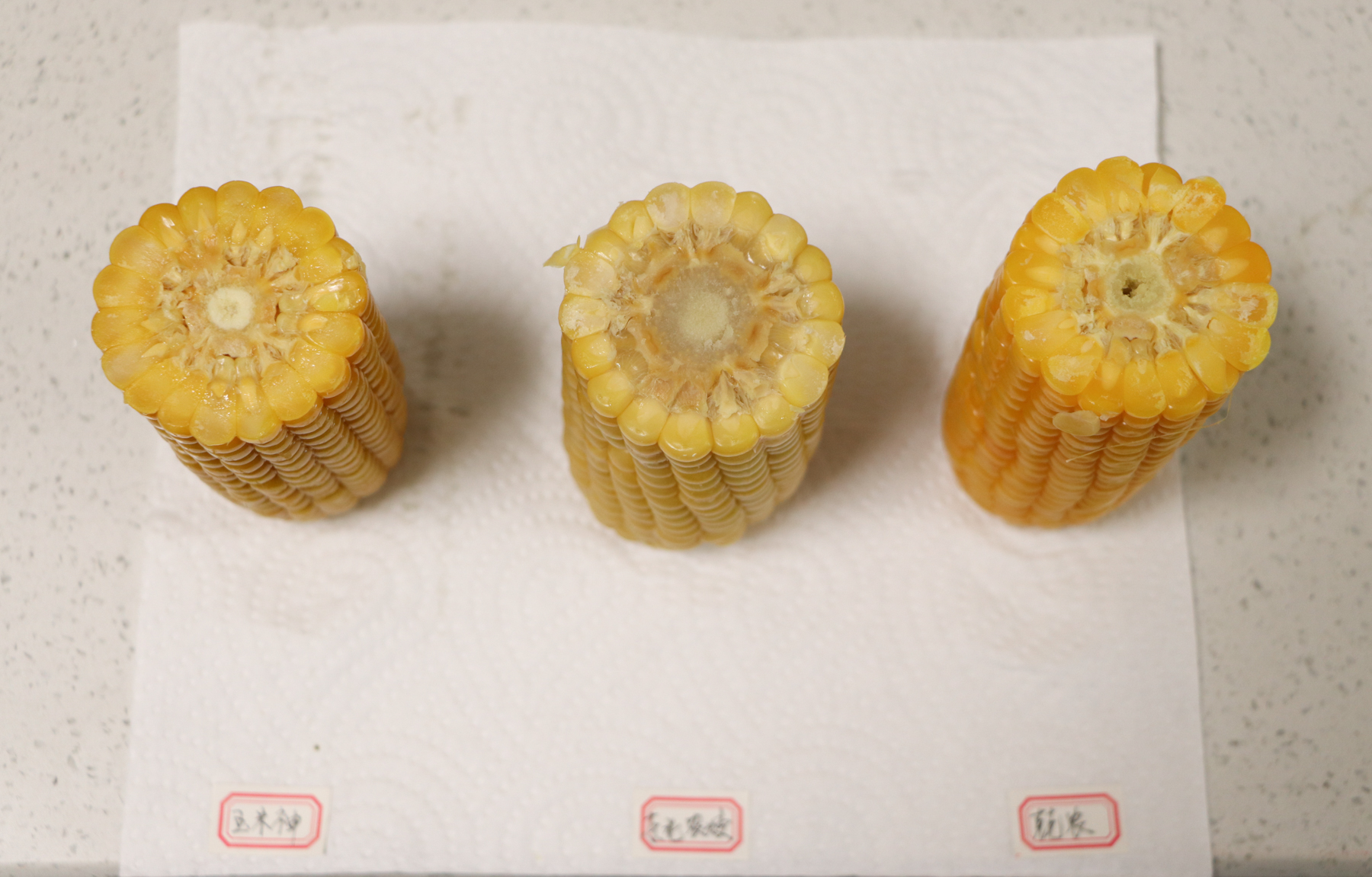 糯玉米推荐测评,甜糯玉米哪个品种最好吃