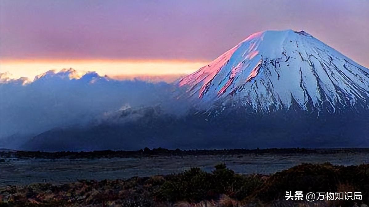 新西兰控告中国果农胜诉了吗,果农罚款