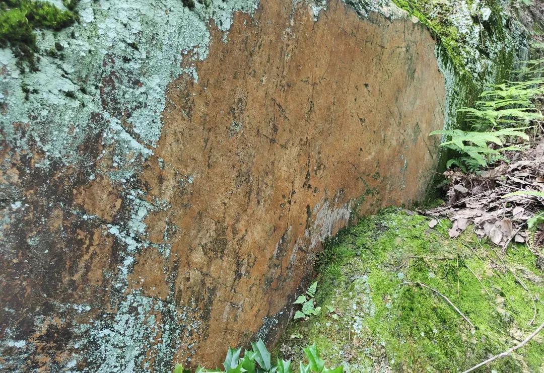 宁乡桃林镇,长沙市道林镇