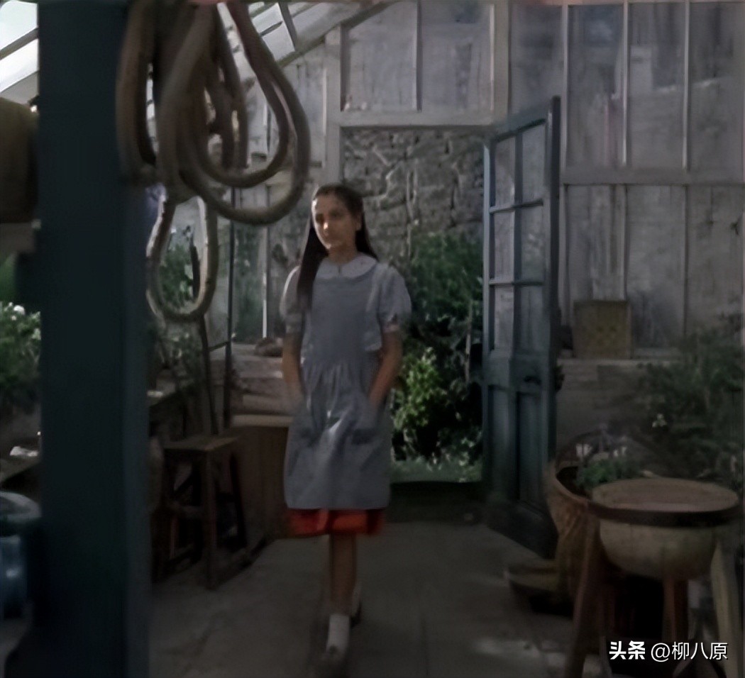 美国电影秘密花园内容,美国电影秘密花园内容简介