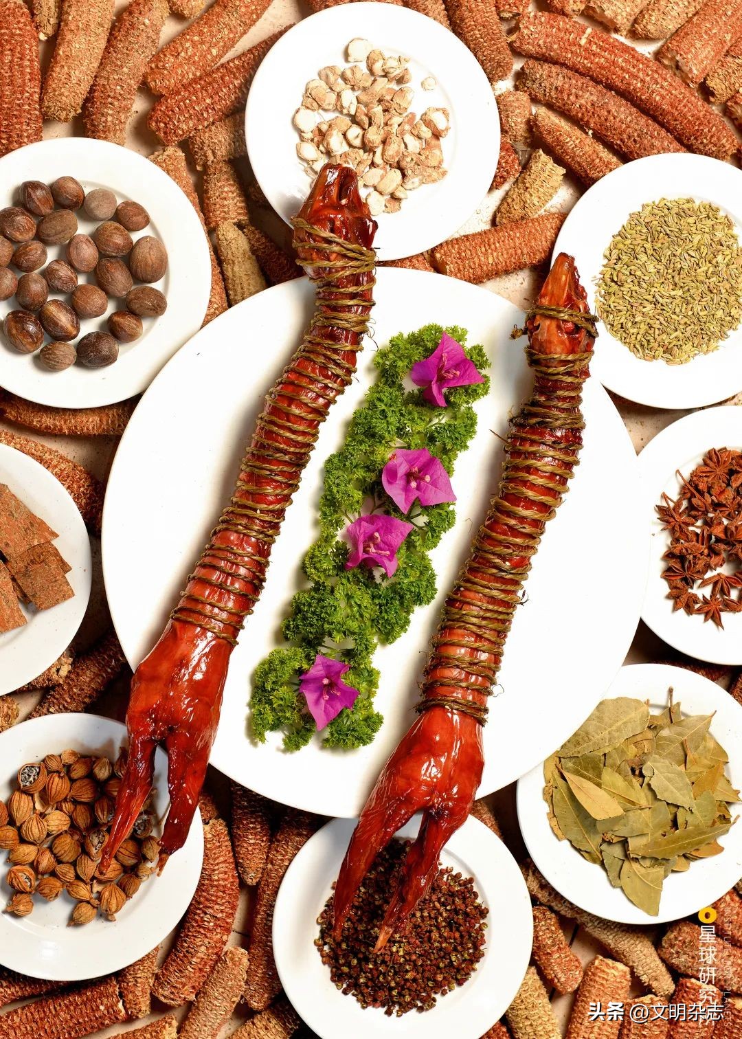 兔子来阳台,兔子来到新家