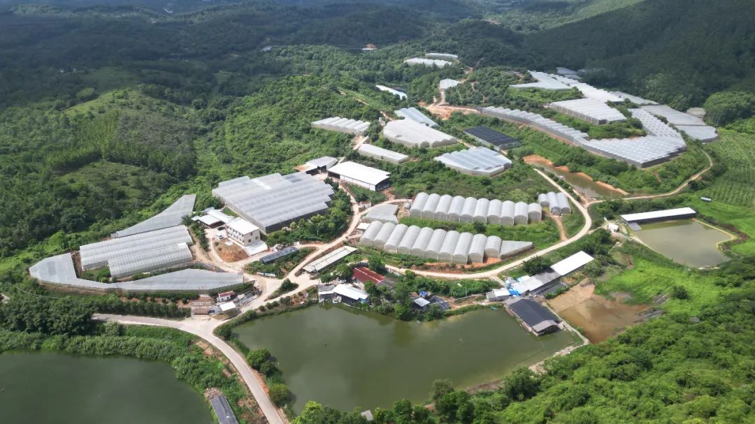 智库解析乡村振兴与三农问题,智库观察十个新走势