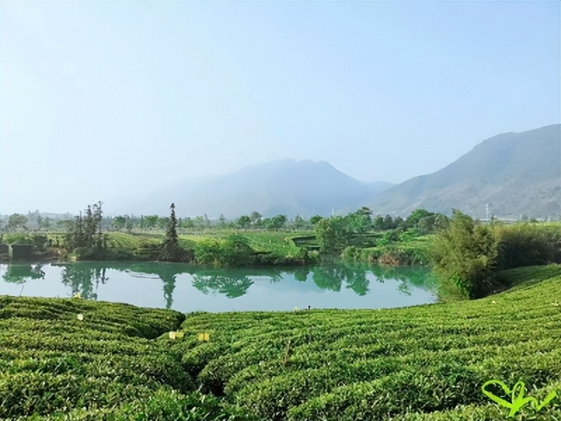 关于加快我市科技创新的若干意见,着力推进科技创新政策体系建设