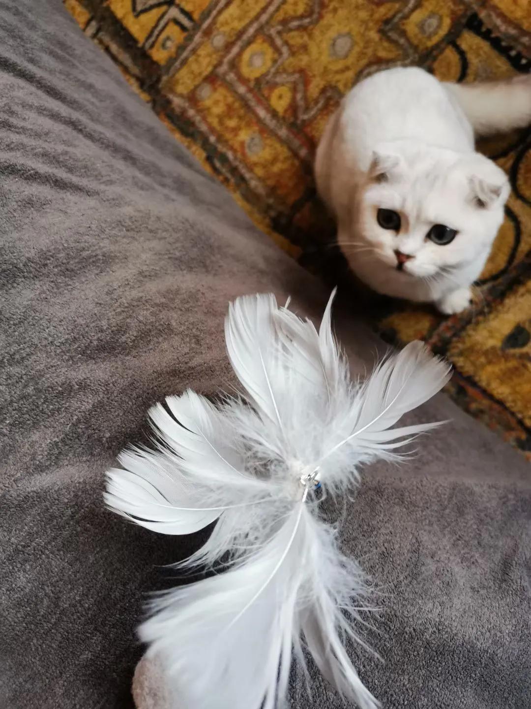 人生如棋走好属于你的那一步,人生如棋局每走一步不许回头