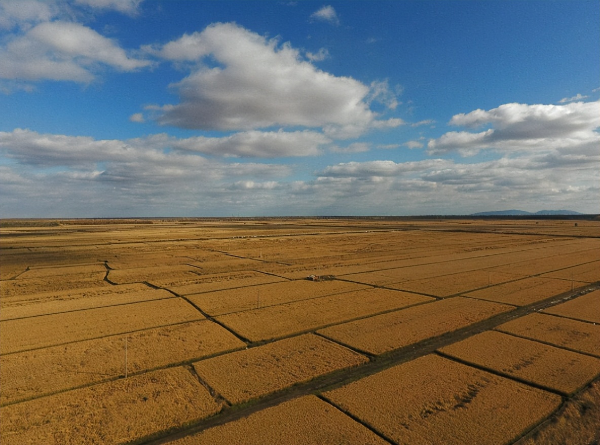 北大荒为什么要退耕还荒,北大荒退耕是什么时候