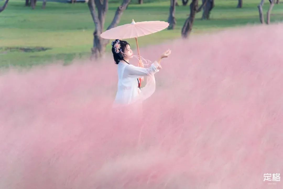 深圳最值得去的十个地方,深圳吃货必去的地方