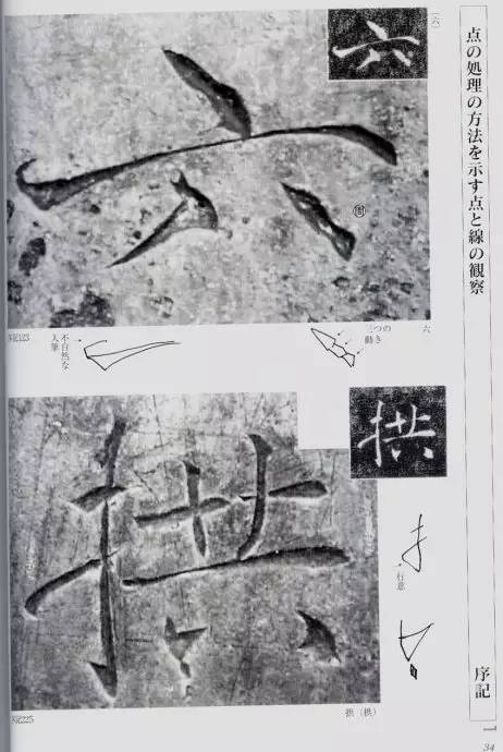 宸ョ瑪鐢绘潹鏅箟鐢诲唽,鏉滈箖鏉ㄦ櫘涔夊畬鏁寸増