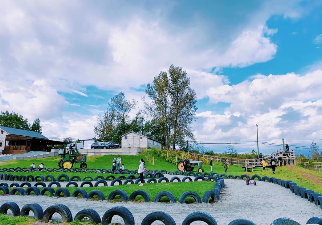 85后Lisa在加拿大：和老公打拼10年，生3娃买3套房，送两娃上私校