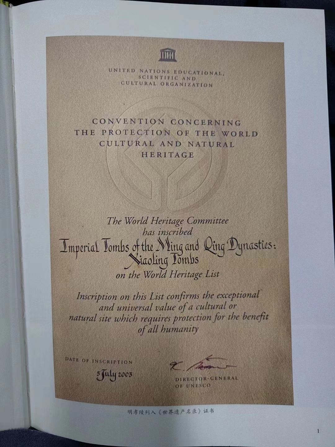 科学保护多元阐释——《明孝陵新志》《明孝陵图录》等四本文化书籍与公众见面|方志新闻