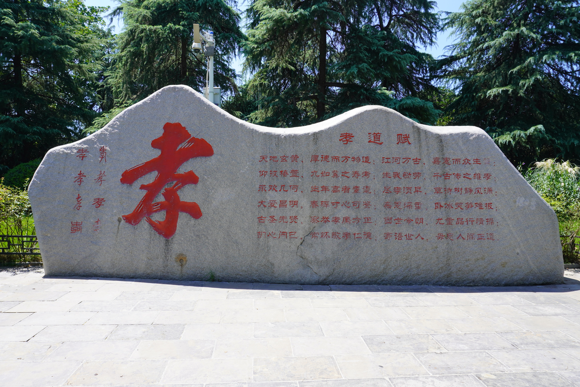 合肥的杏花公园的位置,有一棵杏花树的公园合肥