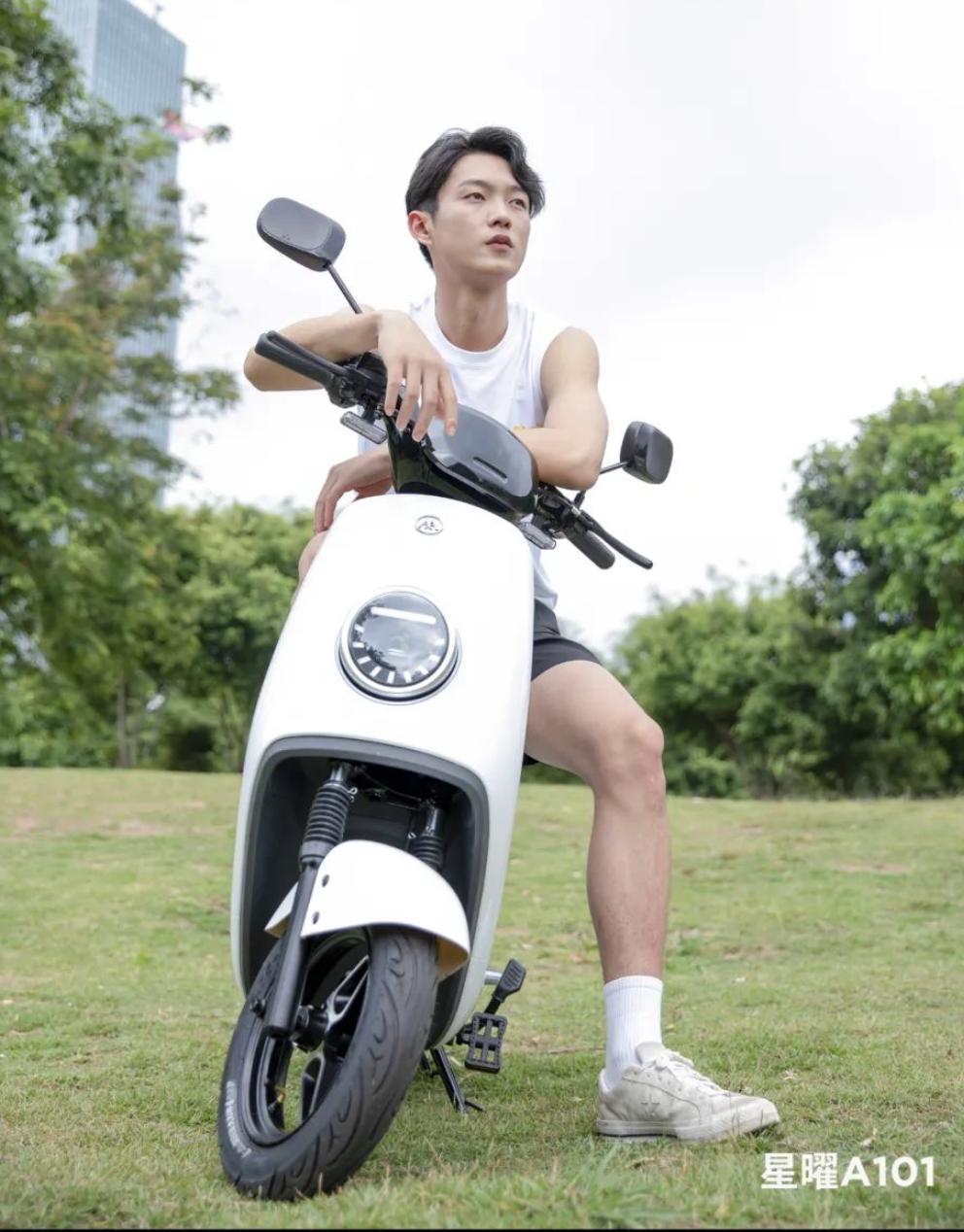 绿源和雅迪电动自行车哪个品牌好,绿源雅迪新日爱玛哪个车子跑得快