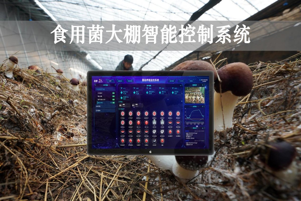 智能食用菌温室大棚自动系统,食用菌智能大棚