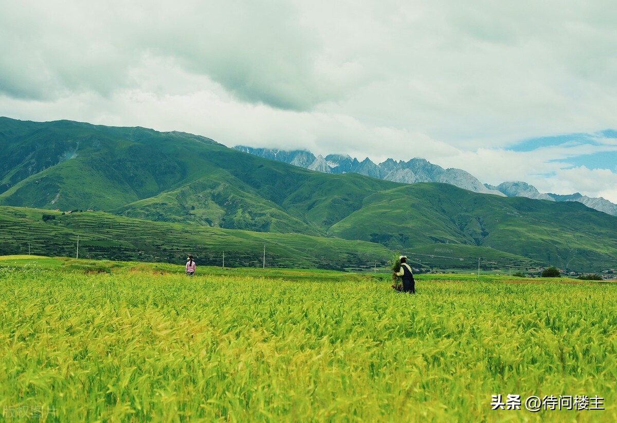 中国当代著名诗人作品欣赏,中国当代十大杰出诗人
